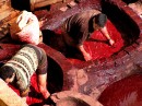 Leather Dyers Red Men * A couple of workers in the red vats, sloshing the skins around to get them evenly dyed. * 576 x 431 * (131KB)